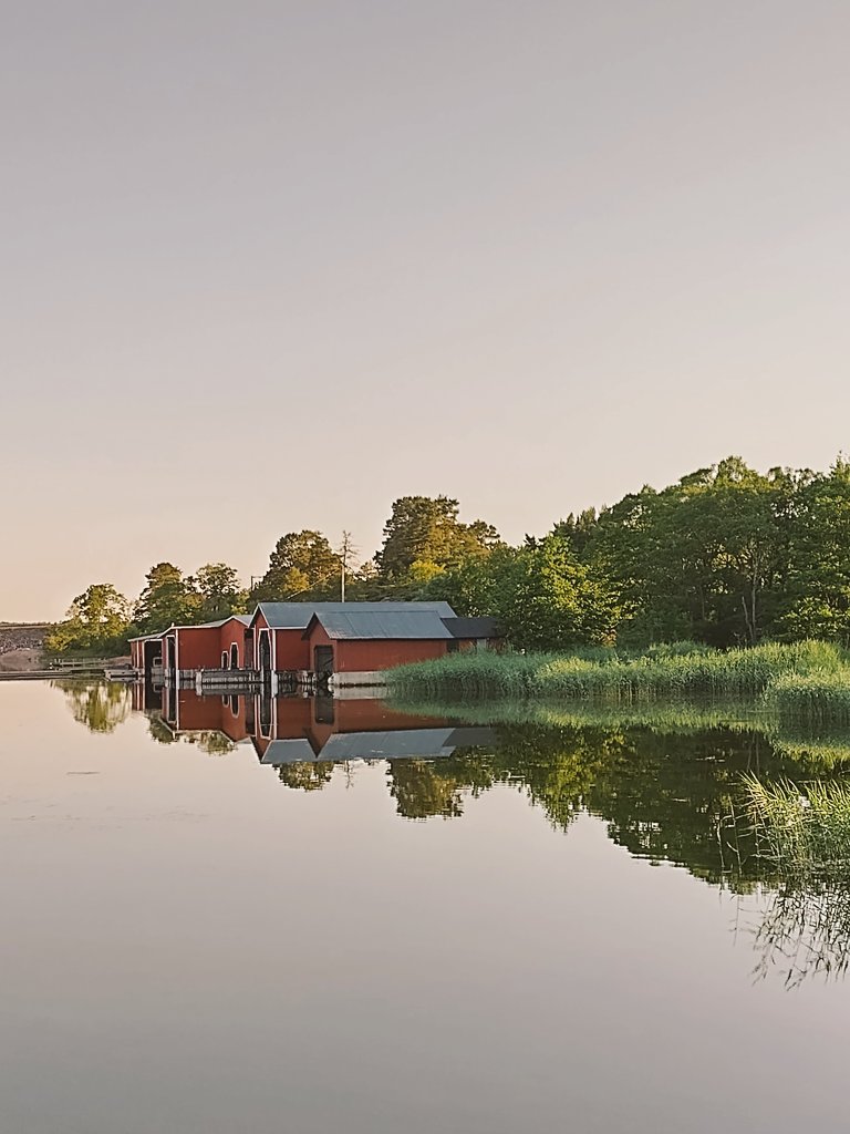 Päivi Kalske 🕊️ tweet media