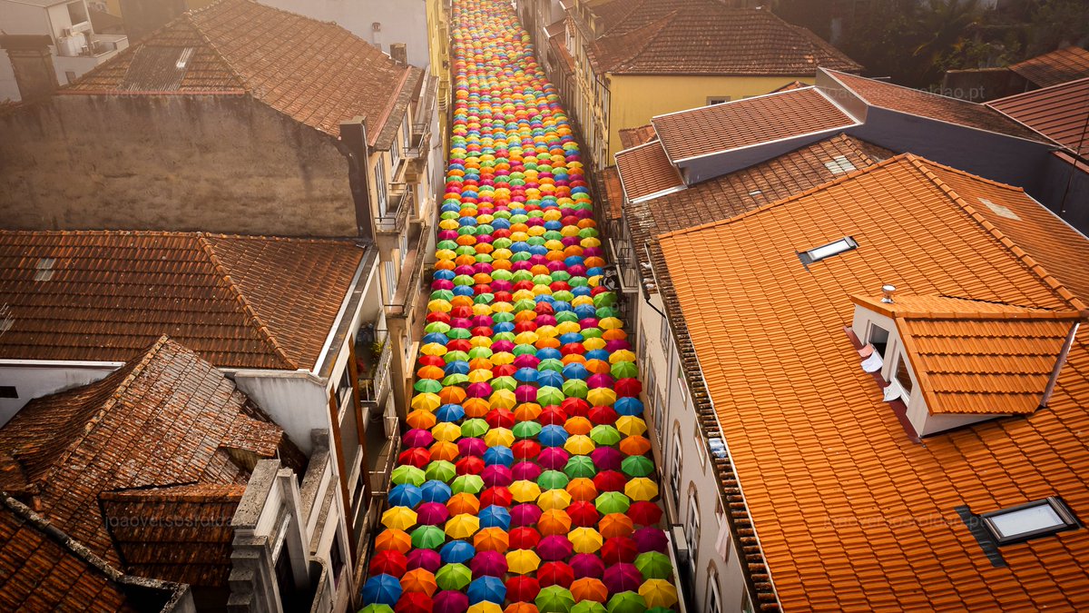 GM!!!!

How many umbrellas ☂️☂️ can you count?

#umbrellasky #photography