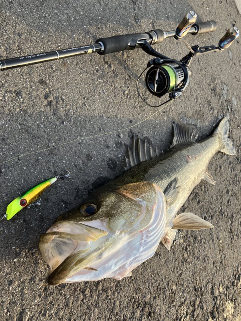 Angler_k11's tweet image. 2023年上半期使って良かったルアー3選

【ブログ】fimosw.com/u/angler11/2ps…

#fimo #fimoフィールドモニター