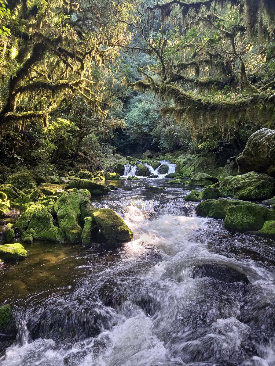 Travel Bugs World ✈️🐞🌎 tweet media