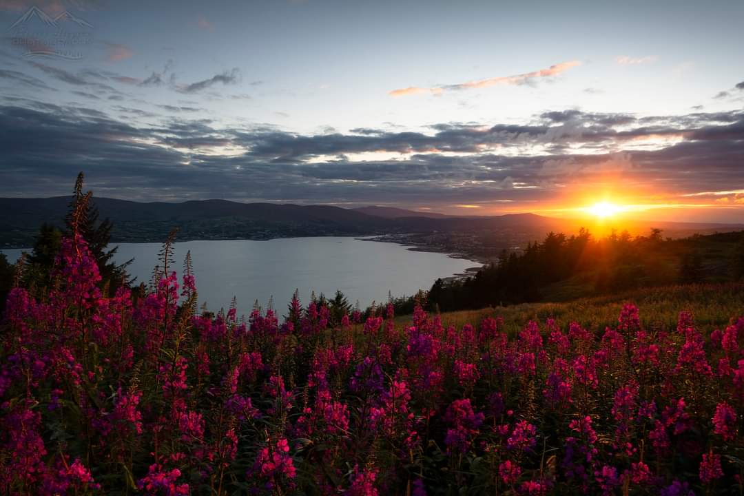 Beautiful colours up past Cloughmore these evenings. <a href="/newslineweather/">IrishWankers</a> <a href="/WeatherCee/">Cecilia Daly</a> <a href="/barrabest/">Barra Best</a> <a href="/angie_weather/">angie phillips</a> <a href="/BBCNewsNI/">BBC News NI</a> <a href="/coolfm/">Cool FM</a>