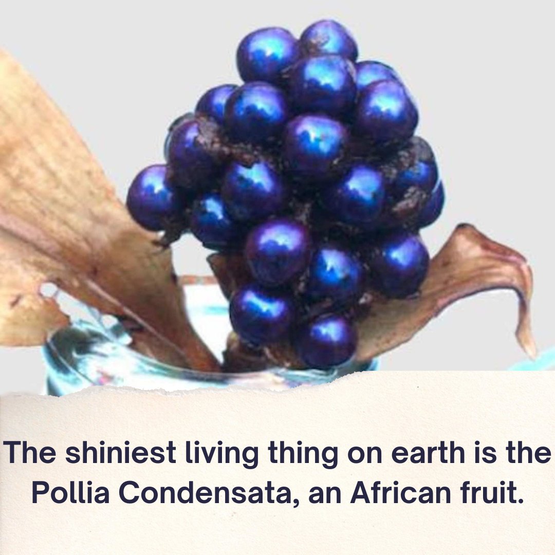 UWCArtsPostGrad's tweet image. Did you know... #fact #uwc #artsandhumanities #arts