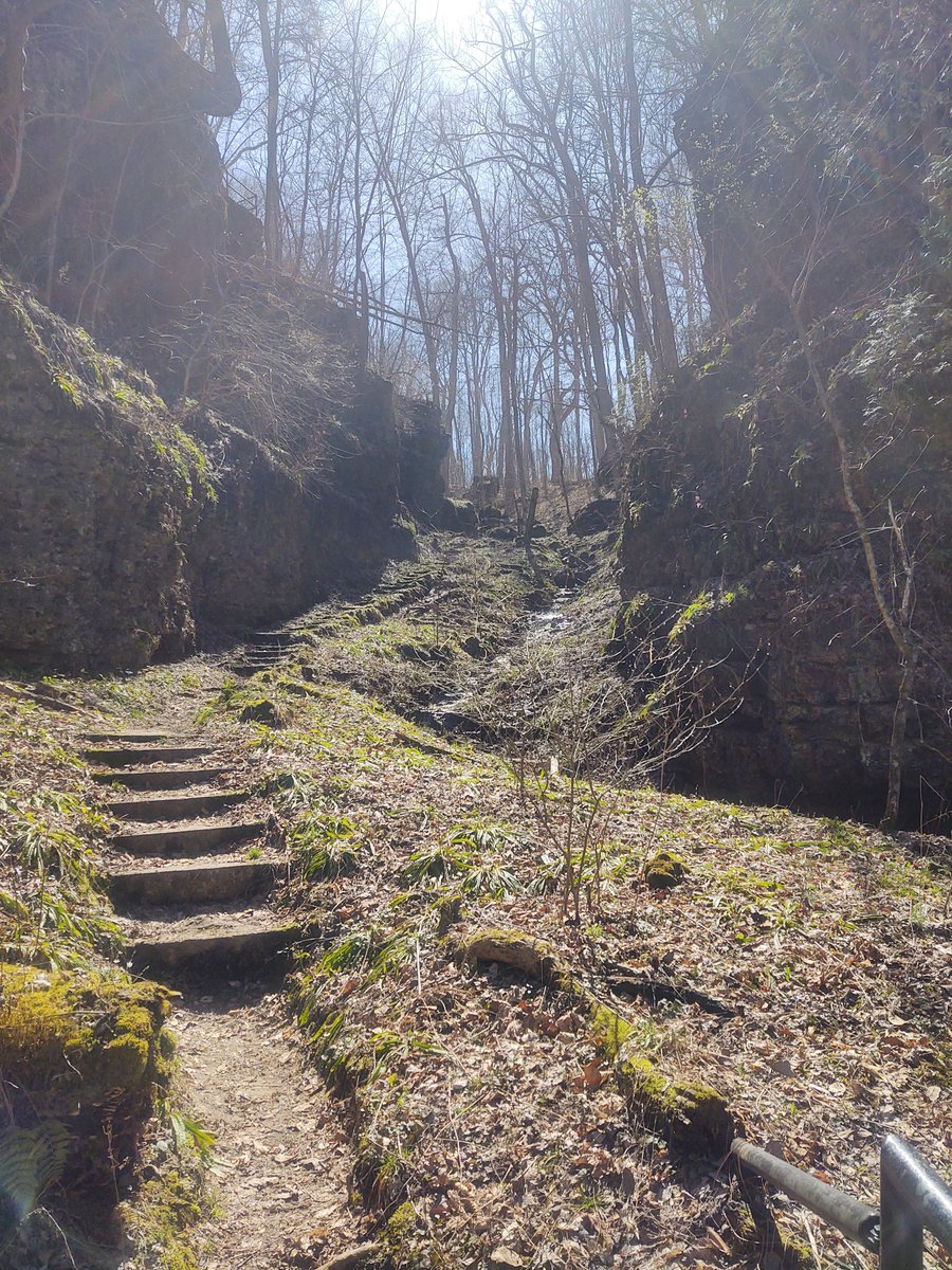 #footpathfriday  stairway to the sun!