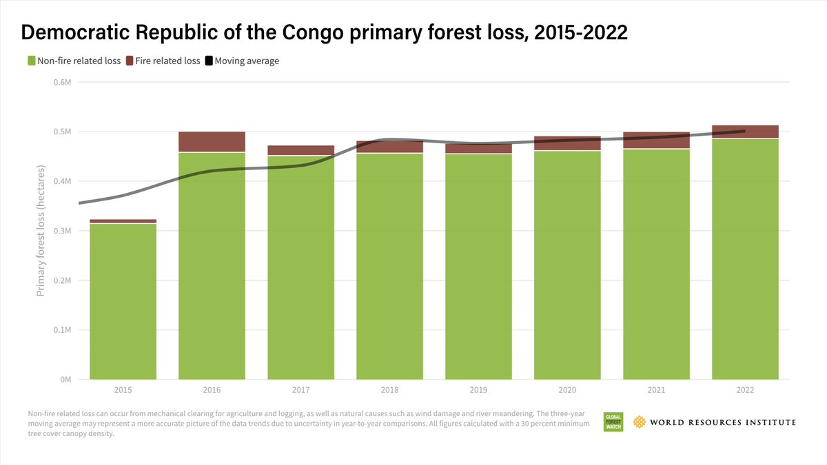 High rates of primary forest loss persist in the Democratic Republic of the Congo, with over half a million hectares lost in 2022.

Learn more on the #GlobalForestReview ➡️ gfw.global/3Libahx
