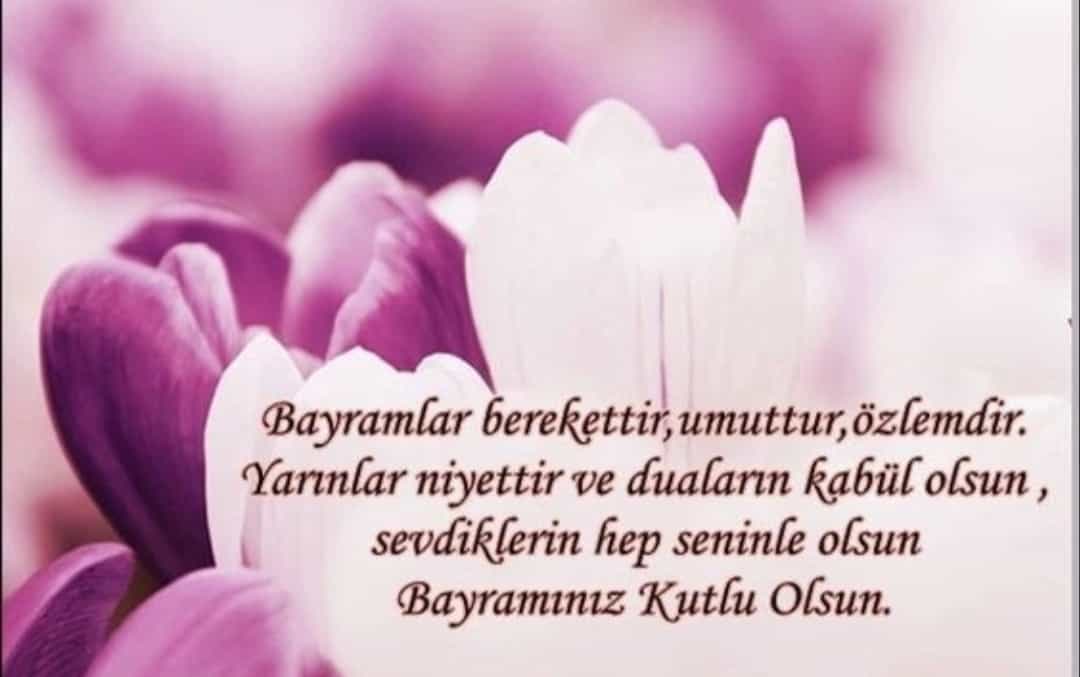 vasfidirek's tweet photo. @IlIliskiler Nice Bayramlara https://t.co/eGEvgh9RTJ