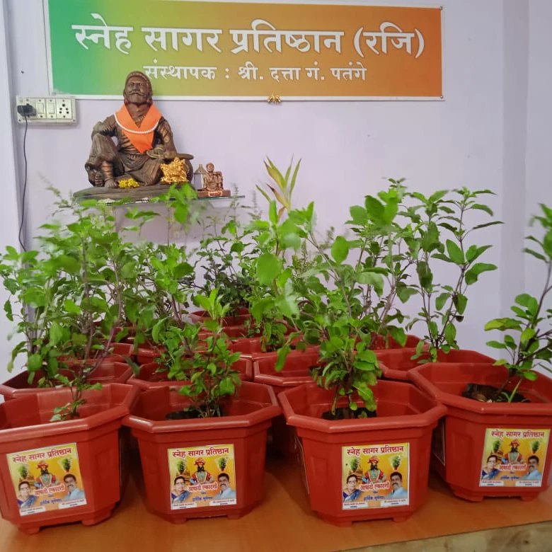 AmitKharwar52's tweet image. आषाढी एकादशी के मौके पर स्नेह सागर प्रतिष्ठान द्वारा आयोजित तुलसी का पौधा देकर महिलाओं का सम्मान किया गया।
Adv. Ashish Shelar - ॲड. आशिष शेलार #Dev_Fadnavis BJYM North West Mumbai BJP Yuva Morcha - Ward 79 Bhilare Sachin