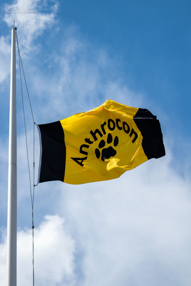 We officially celebrate 25 years of Anthrocon, Inc. as of today! 

Thanks for helping us create smiles, friendship, and memories in our community for 25 years - and we hope you join us for many more 💛

📸 <a href="/FloofyHawk/">HawkPool</a>