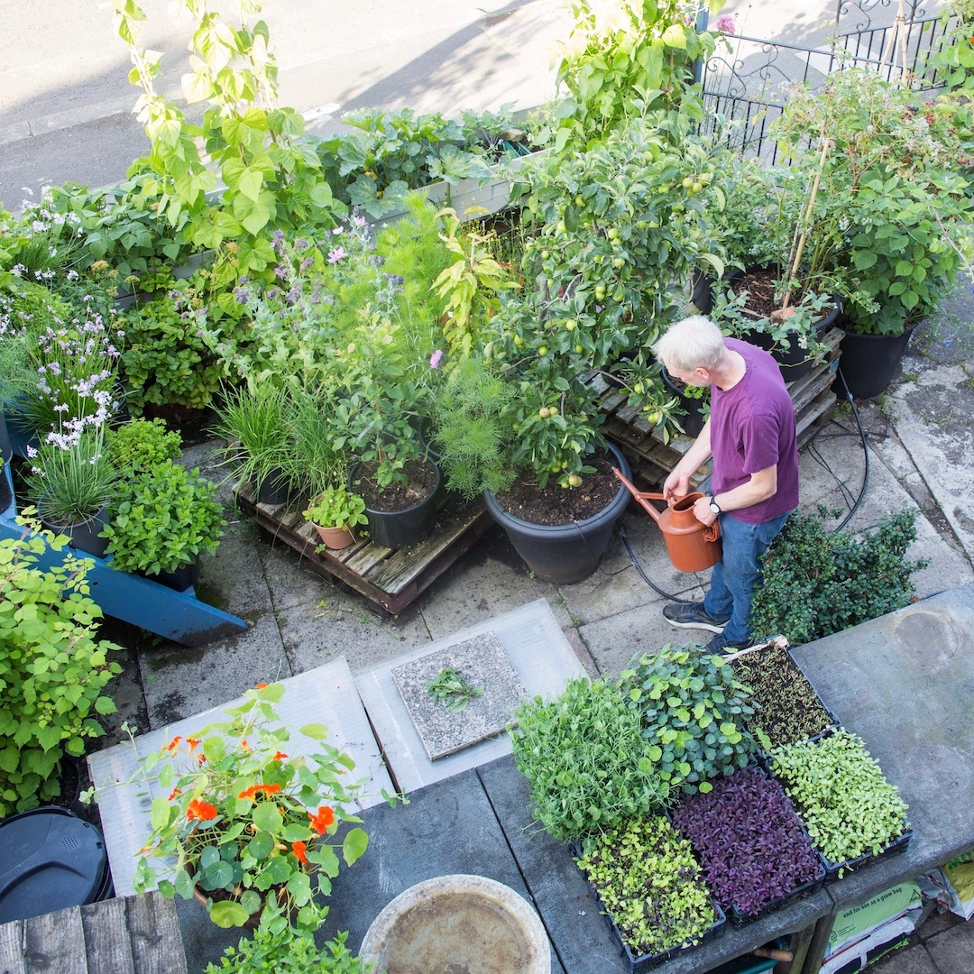Why grow food at home in containers? 
One thing I love is that the plants are quite literally on your doorstep so you can enjoy them every day (this is my front yard that I walk through several times a day).
What is it about growing in containers at home that appeals to you?