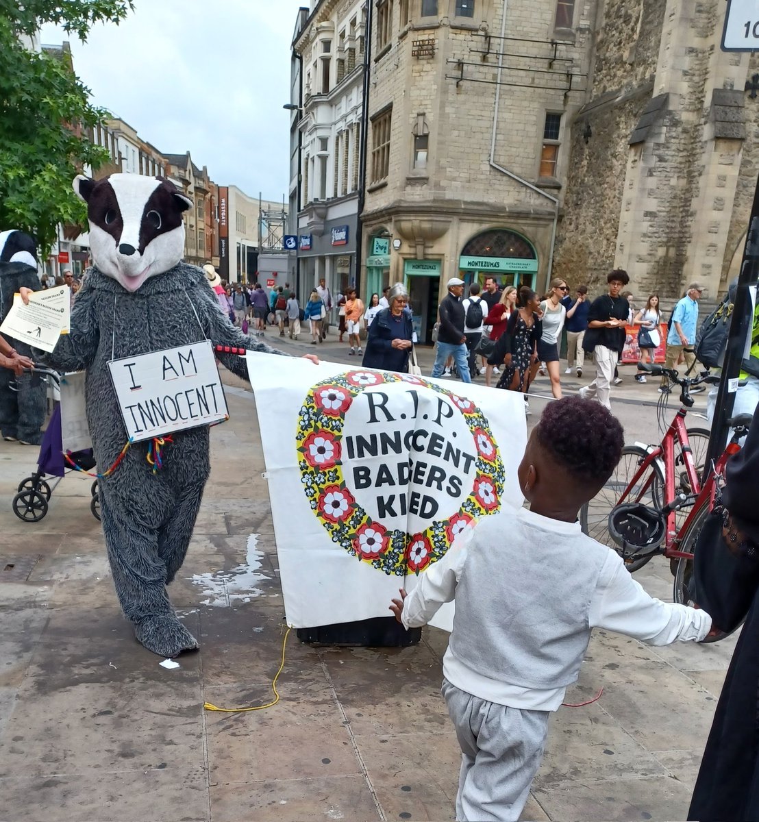 Out and about in Oxford this week......

thebadgercrowd.org/out-about-in-o…