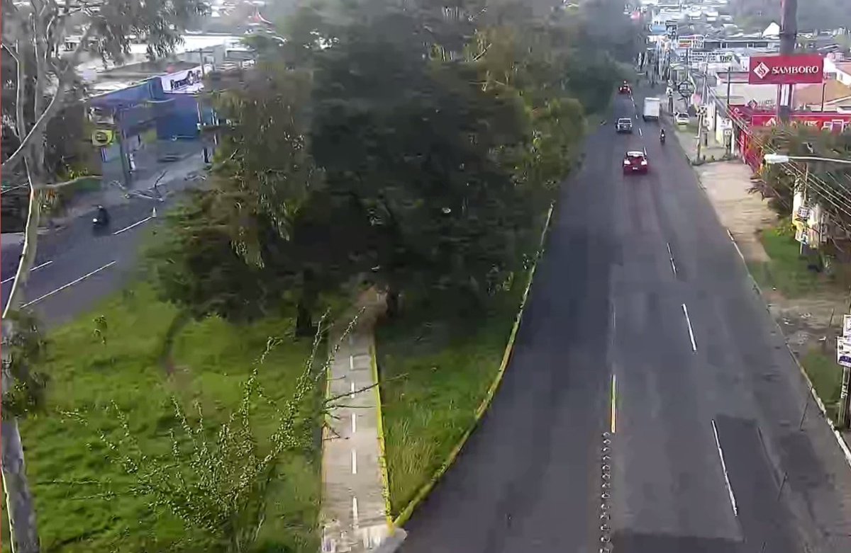 Pablo Morales tweet media