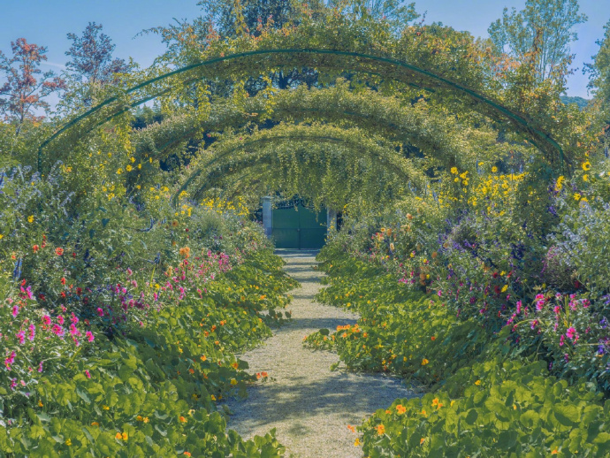 Monet's garden.