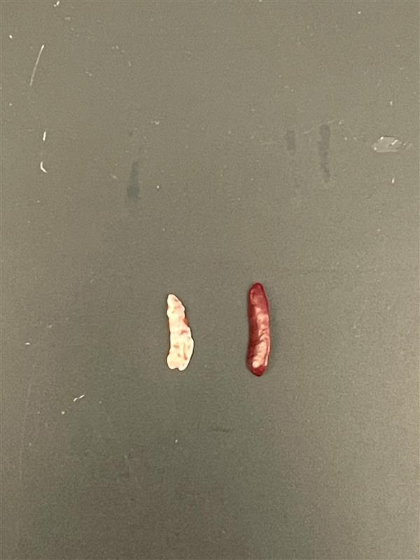 AdaWeinstock tweet media