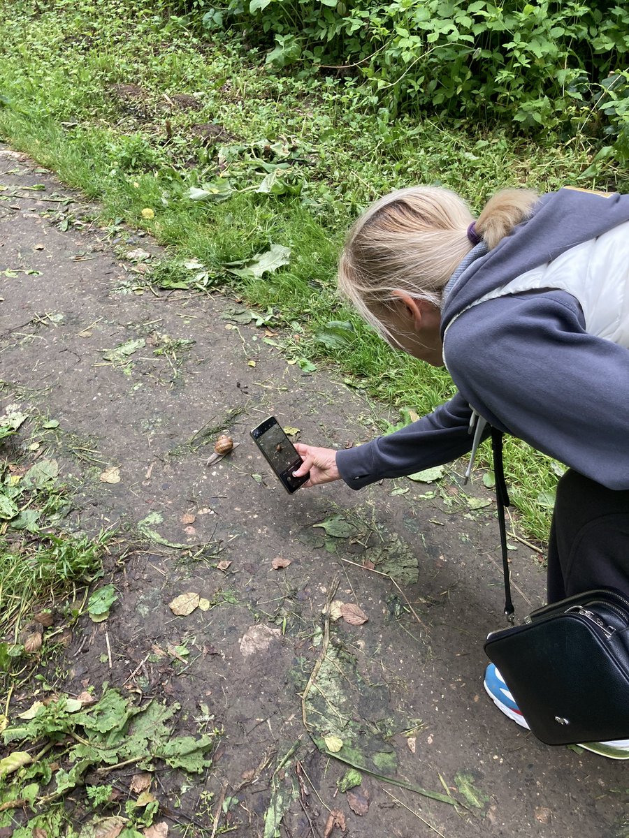 пока нет tweet media