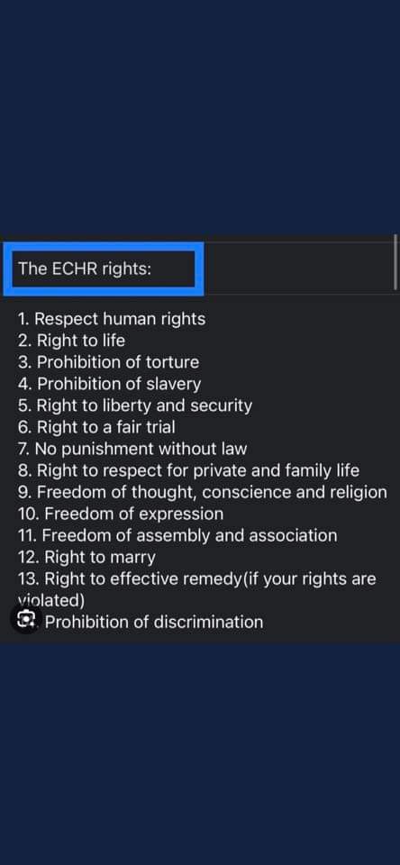 SophieP25397's tweet photo. Who do you trust?
#Johnson. 
#Braverman
#Patel
#Jenkyns
#Whately
#Mogg 
#Gullis
#Benton
Clarke-Smith
Or the #ECHR https://t.co/qhEUowIUo4