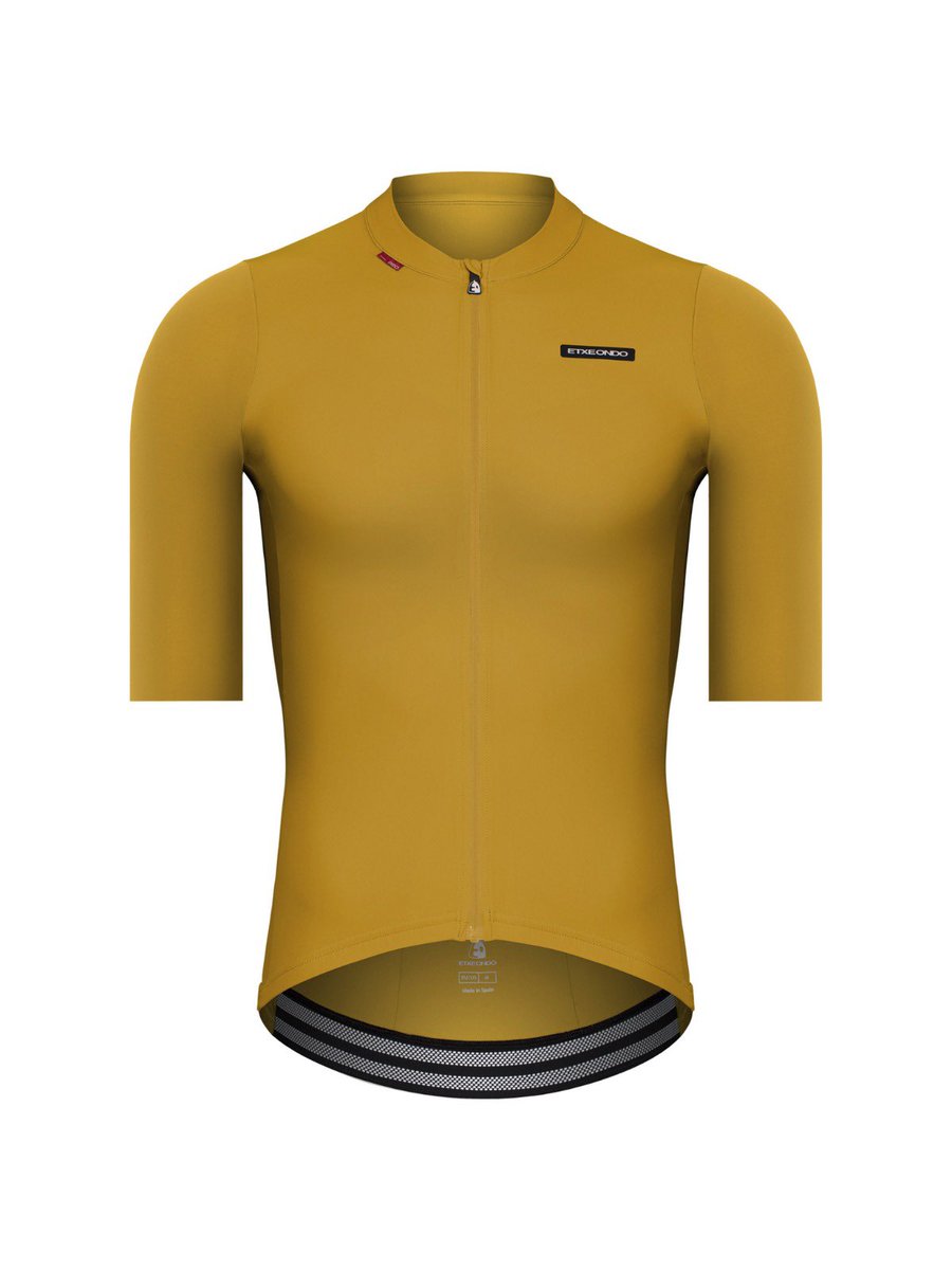 Thijs Zonneveld tweet media