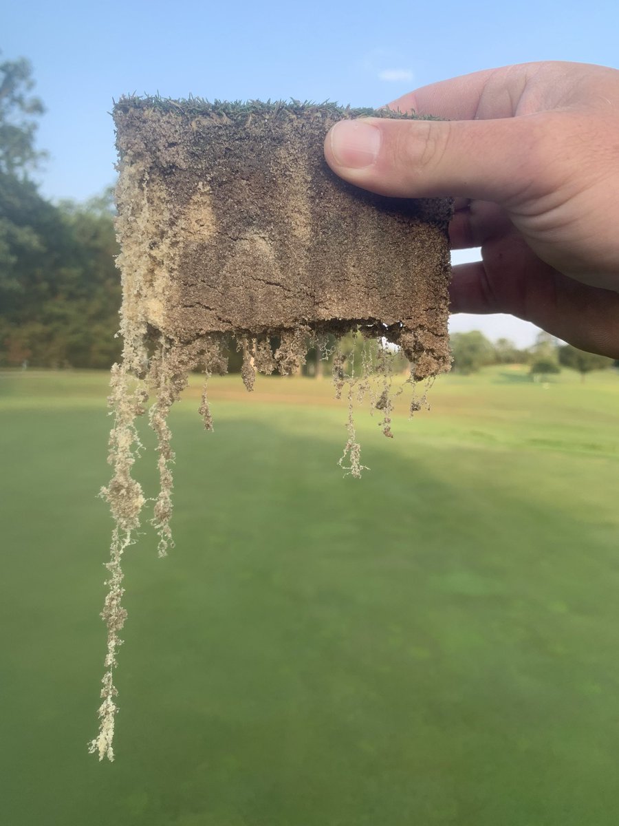 Randy Emens tweet media