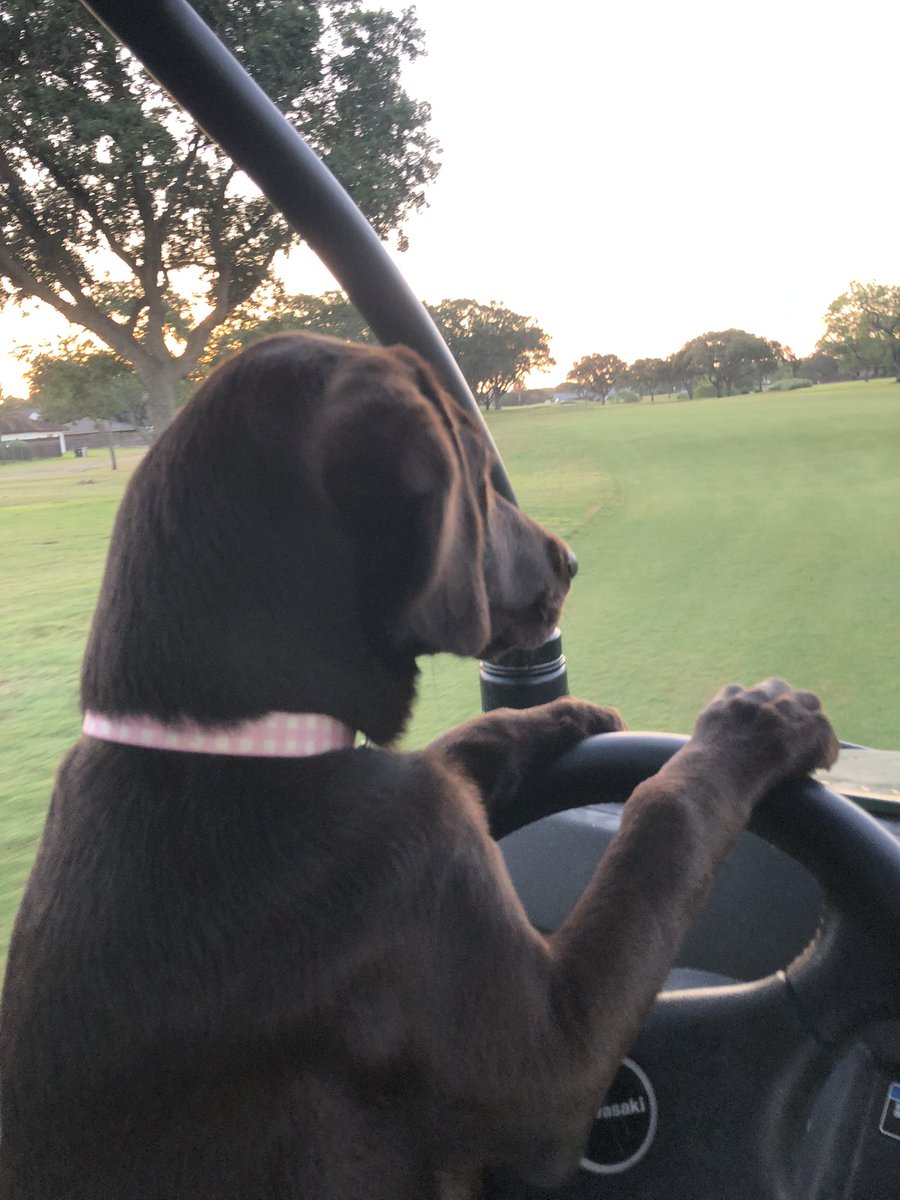 “Let’s hang a right, I see some trash I want to pick up”