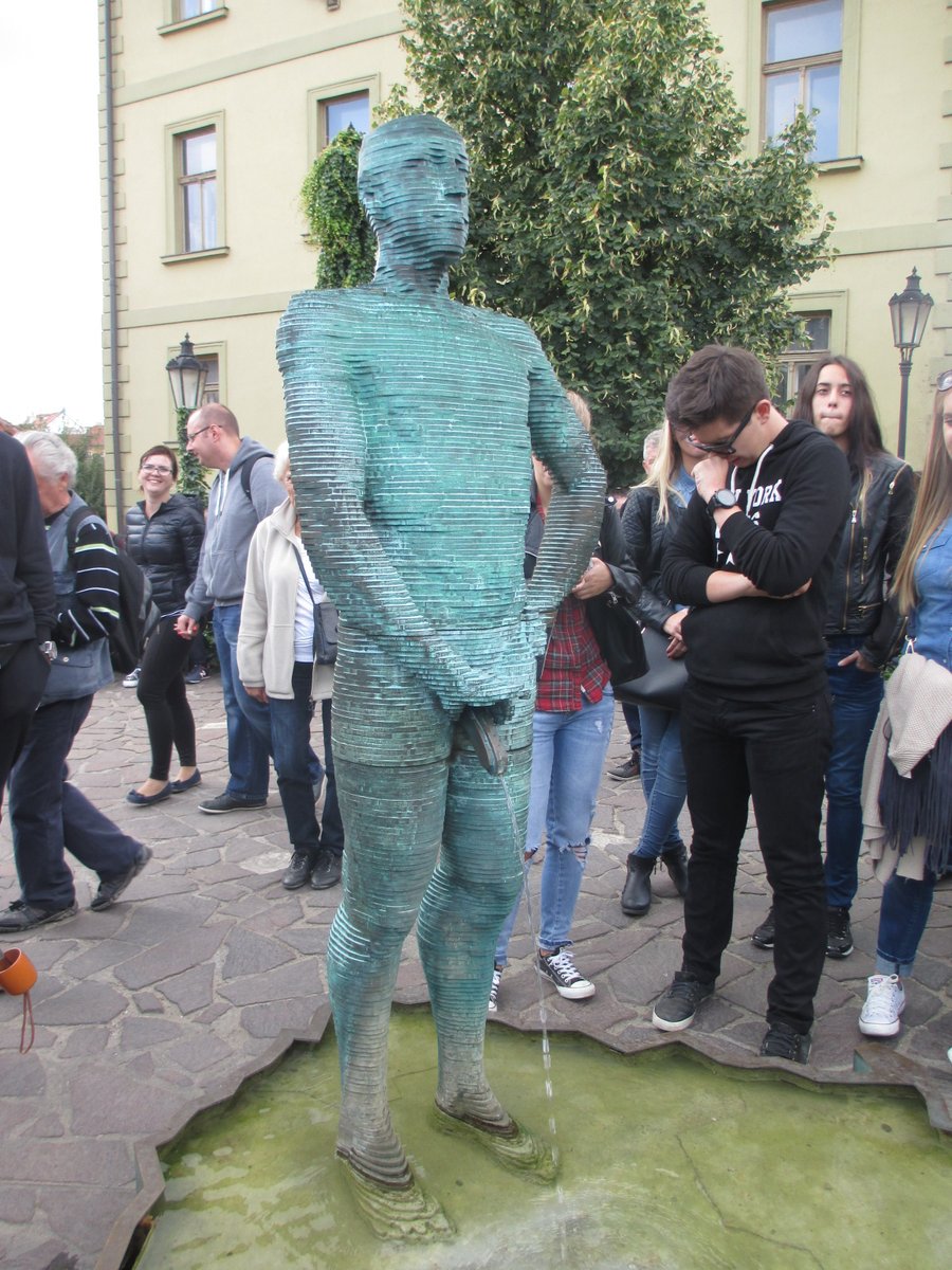 Travel Bugs World ✈️🐞🌎 tweet media