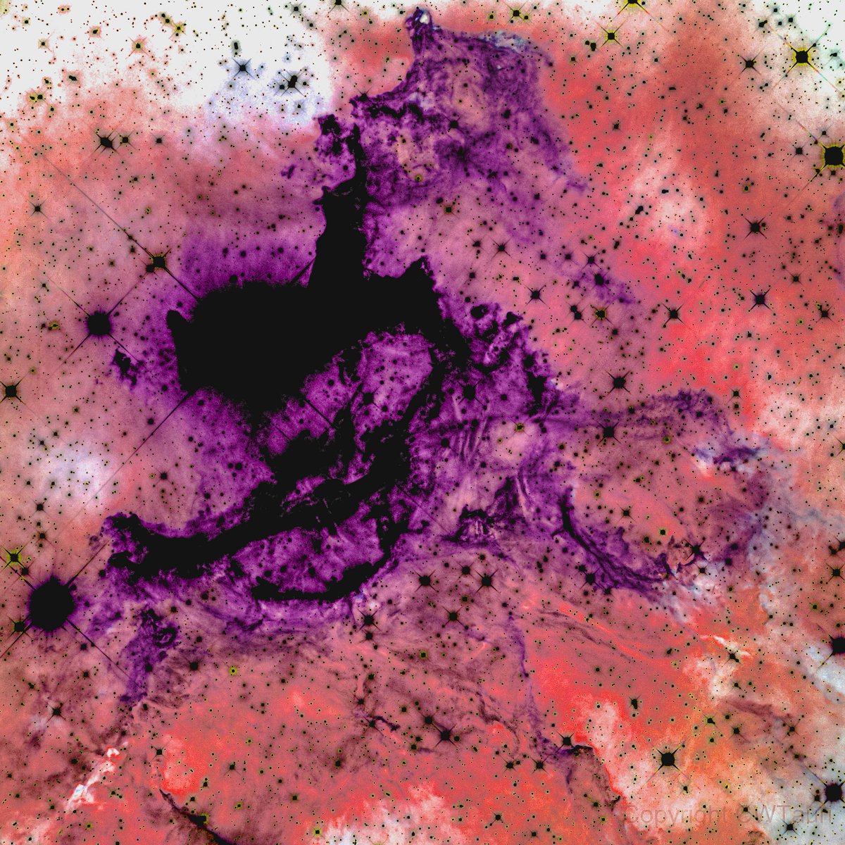 MindTrip tweet media