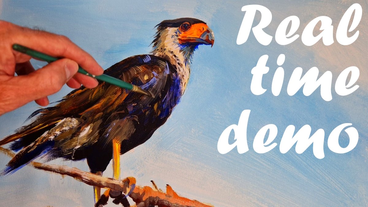 Free real time painting demo video of a crested caracara bird. Out on Sunday 2nd July on my YouTube channel search for 'Mike Jory Art' #CrestedCaracara #BuyIntoArt  #aYearforArt #birdPainting #paintingTutorial #paintingdemo #artistdemo #birdartist