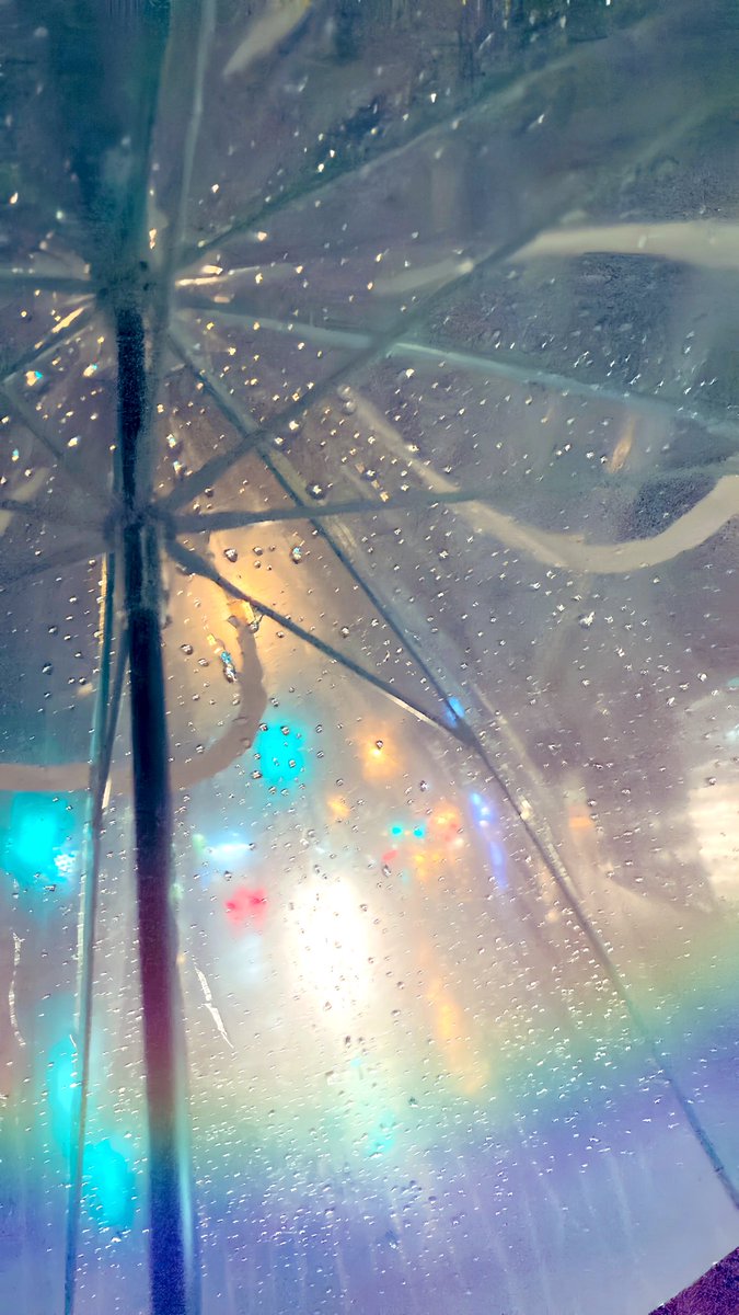こんな大雨の日にかぎって
電車をすっかり降りそびれてしまい
お気に入りの傘越しの綺麗な光に
気を取られ水溜まりに落ちていった🫠

その後私の姿を見る者は誰もいない🕳