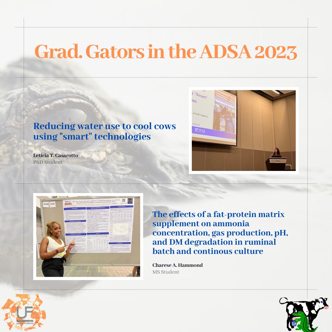ASGSA_UF's tweet photo. Some of the moments of our exceptional graduate students ⭐️ in the #ADSA 🐄🥛. Congratulations for your participation and the great work!.
#Dairy
#gogators
#ADSA
#UF
#ASGSA https://t.co/fdMutBnUBa