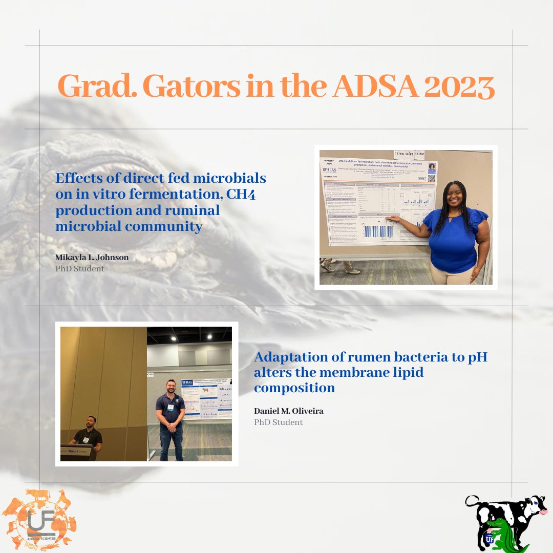 ASGSA_UF's tweet photo. Some of the moments of our exceptional graduate students ⭐️ in the #ADSA 🐄🥛. Congratulations for your participation and the great work!.
#Dairy
#gogators
#ADSA
#UF
#ASGSA https://t.co/fdMutBnUBa
