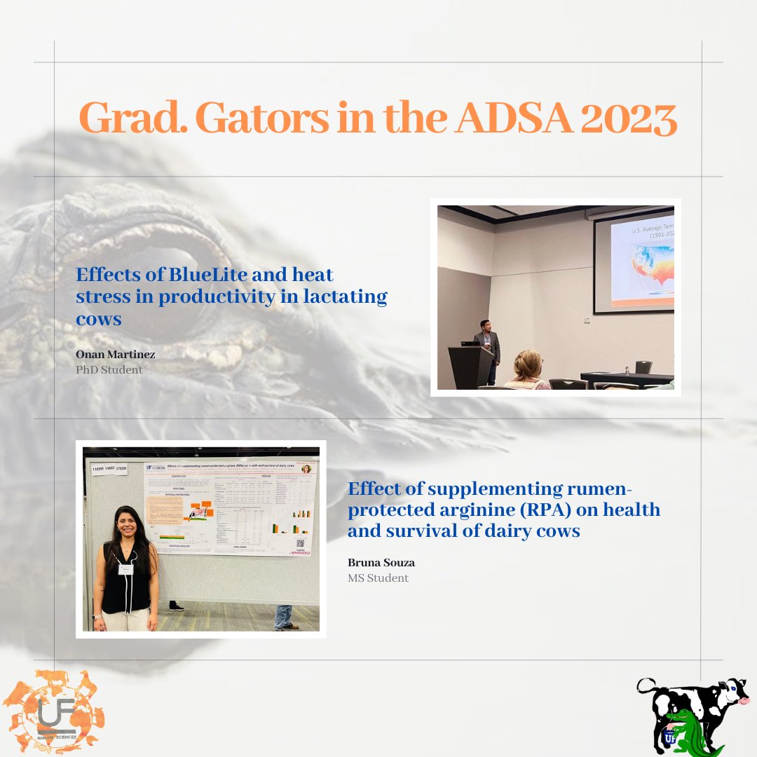 ASGSA_UF's tweet photo. Some of the moments of our exceptional graduate students ⭐️ in the #ADSA 🐄🥛. Congratulations for your participation and the great work!.
#Dairy
#gogators
#ADSA
#UF
#ASGSA https://t.co/fdMutBnUBa