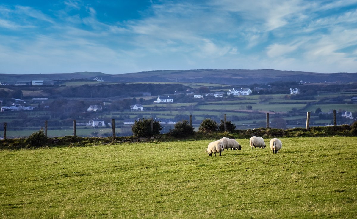 Regen Network tweet media