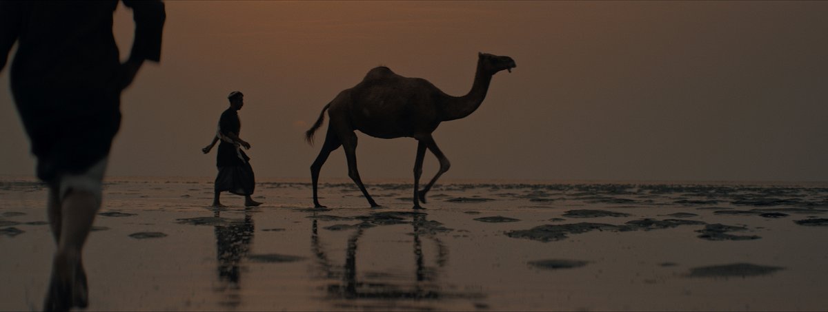 AElsheshtawy's tweet photo. My work in Color Grading
Hadi Aleies
#colorgrading #colorgradingnfilms #cinematography #digitalcolorist #coloristsociety #davinciresolve #filmmaking #colorist #postproduction #commercial #film #cinematic #filmmaker #filmcommunity #filmlook #movie #series #color #colorcorrection https://t.co/yaOvo5mZ2b