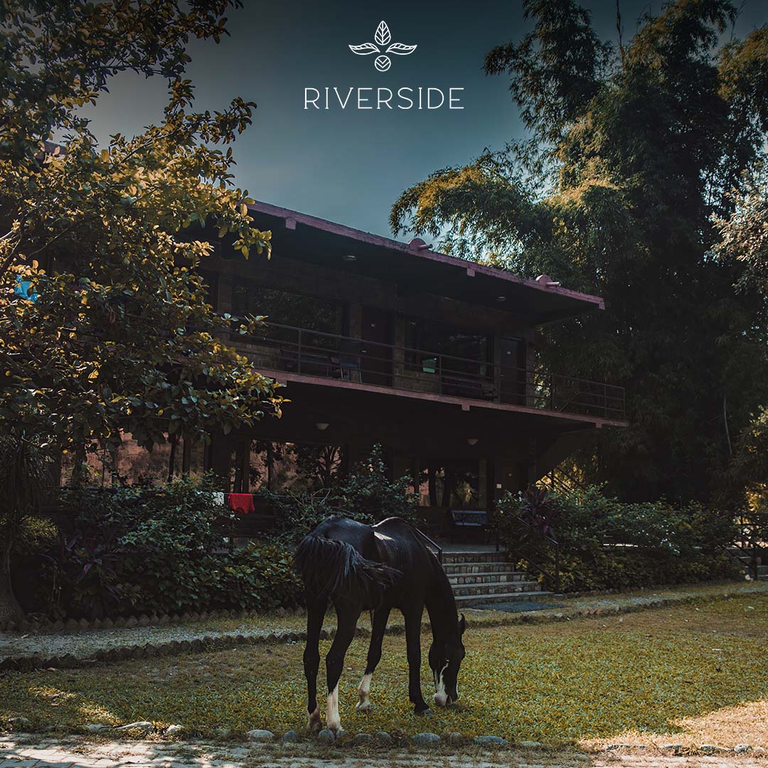 staywithaahma's tweet photo. Experience the magic of #horseriding amidst #nature's splendor. Let our magnificent horses & expert guides take you on a captivating journey of beauty, grace & pure bliss. Unforgettable memories await at #Aahma, where luxury meets adventure.
#aahmahospitality #jimcorbett https://t.co/vYVqrDjf4a