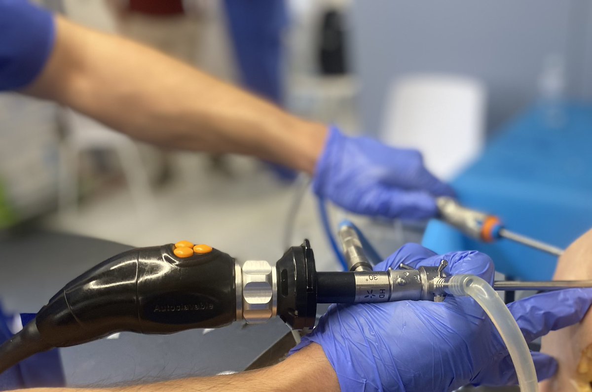 AndrsValent1's tweet photo. Finaliza un nuevo curso de formación de residentes en artroscopia de rodilla con sensaciones inmejorables!! Gracias a @serod_sociedad y @SmithNephew_esp por la organización!! https://t.co/Om2PyOry3n