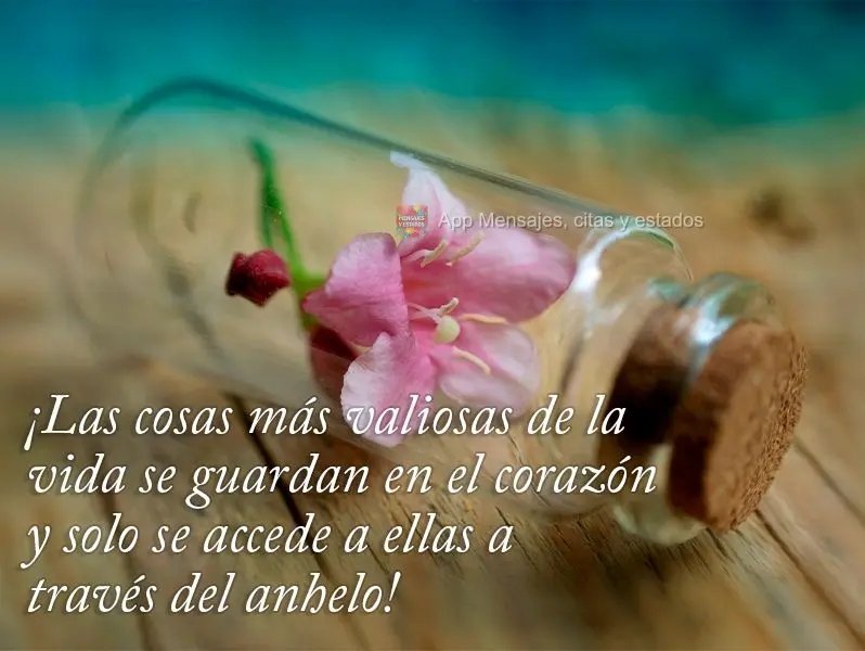 ✨Angeles✨ (@jeankarlosg1) on Twitter photo ¡Las cosas más valiosas de la vida se guardan en el corazón y solo se accede a ellas a través del anhelo!
#ForoDeSãoPauloEsIntegración
<a href="/MamJosefina1/">🌸 Josefina 🌸</a> <a href="/MiAngel01552570/">Mi Angel</a> <a href="/Michell70380832/">Michelle Rendon</a> <a href="/migra1616/">migra16</a> ¡Las cosas más valiosas de la vida se guardan en el corazón y solo se accede a ellas a través del anhelo!
#ForoDeSãoPauloEsIntegración
<a href="/MamJosefina1/">🌸 Josefina 🌸</a> <a href="/MiAngel01552570/">Mi Angel</a> <a href="/Michell70380832/">Michelle Rendon</a> <a href="/migra1616/">migra16</a>