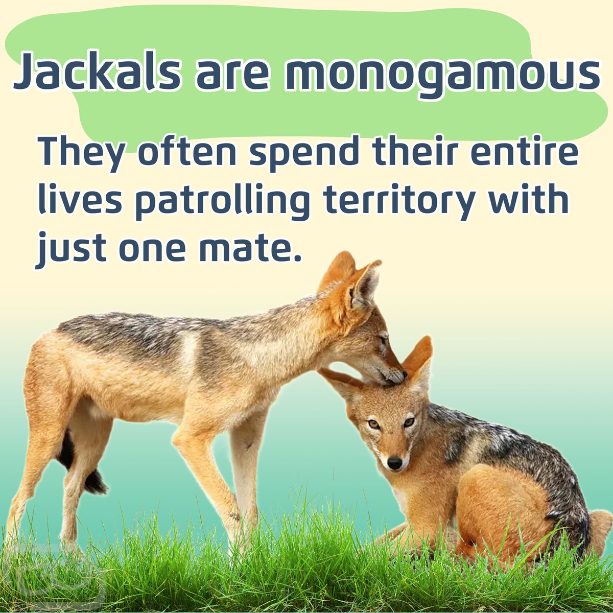 Lookout Lunch Box tweet media