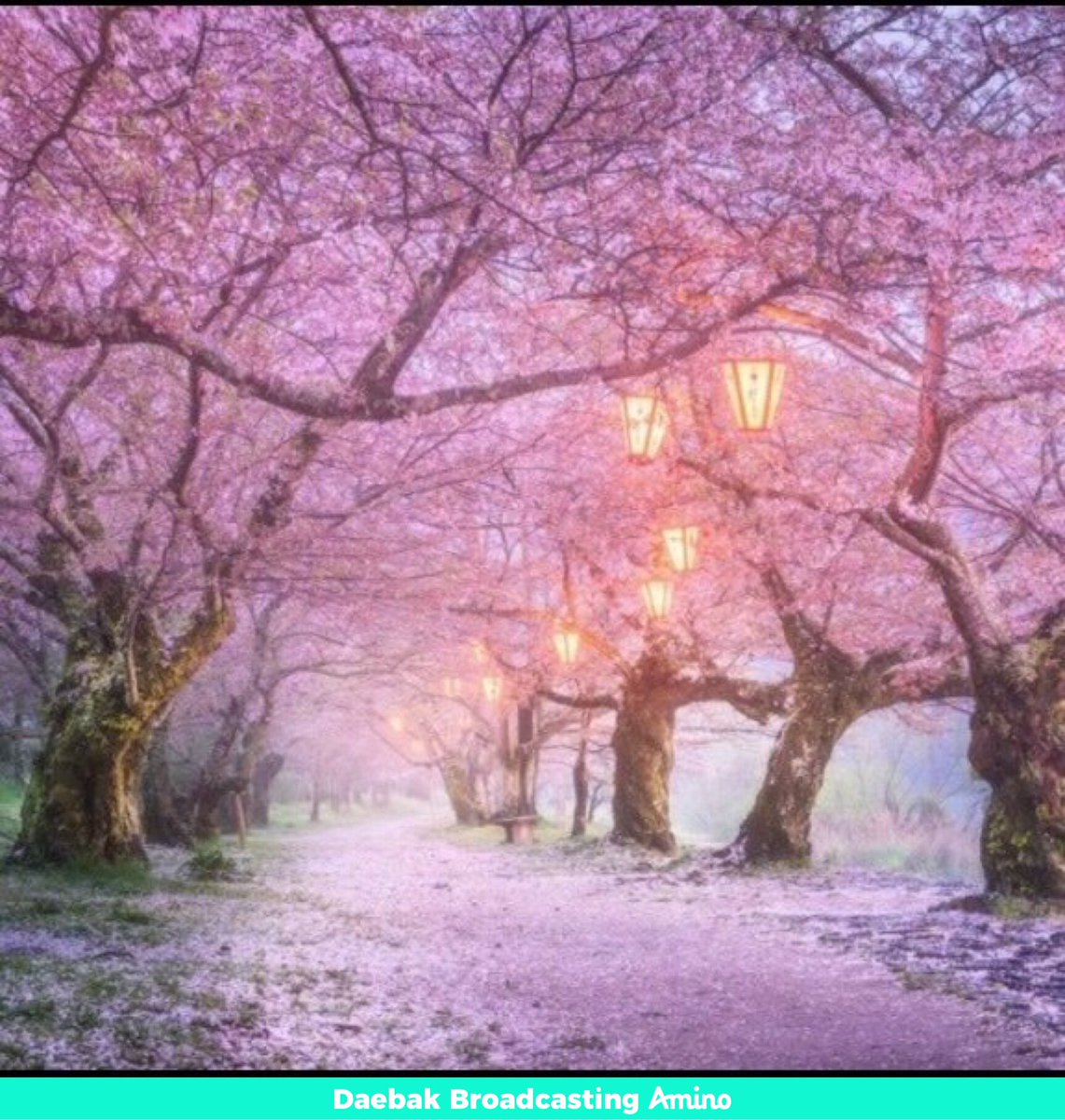 Laura 🍀🍯 🛋 🧡💛 tweet media