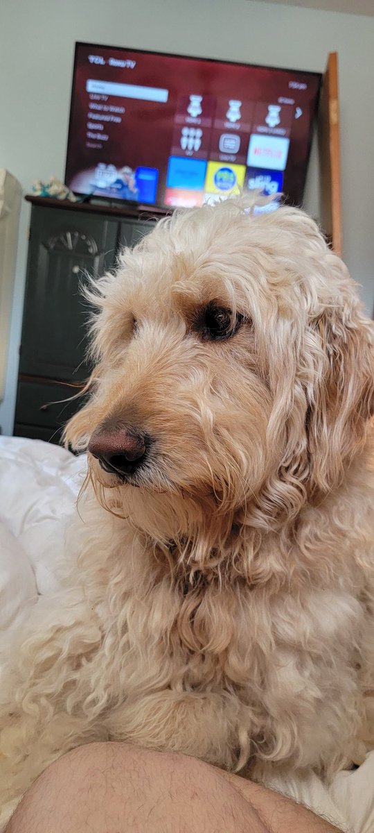 DannySirV's tweet photo. Handsome boy https://t.co/TsSdFLt23n