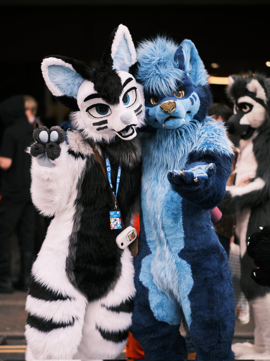 just casual wolf vibes ♡︎
   with the amazing 🐺 @OutlawWolfnix 

 🧵 #FursuitFriday #cfz2023 #confuzzled