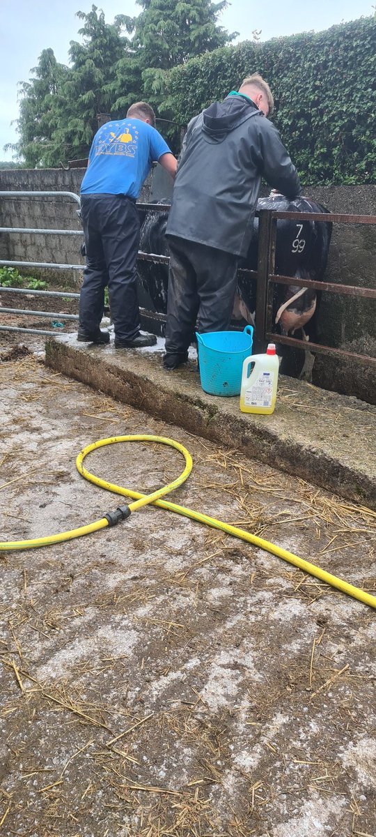 PJ Brennan (@patrickjb86) on Twitter photo Nice to have <a href="/MunsterBovine/">Munster Bovine</a> here for photoshoot day. Hopefully it won't be the only one we'll have! Nice to have <a href="/MunsterBovine/">Munster Bovine</a> here for photoshoot day. Hopefully it won't be the only one we'll have!