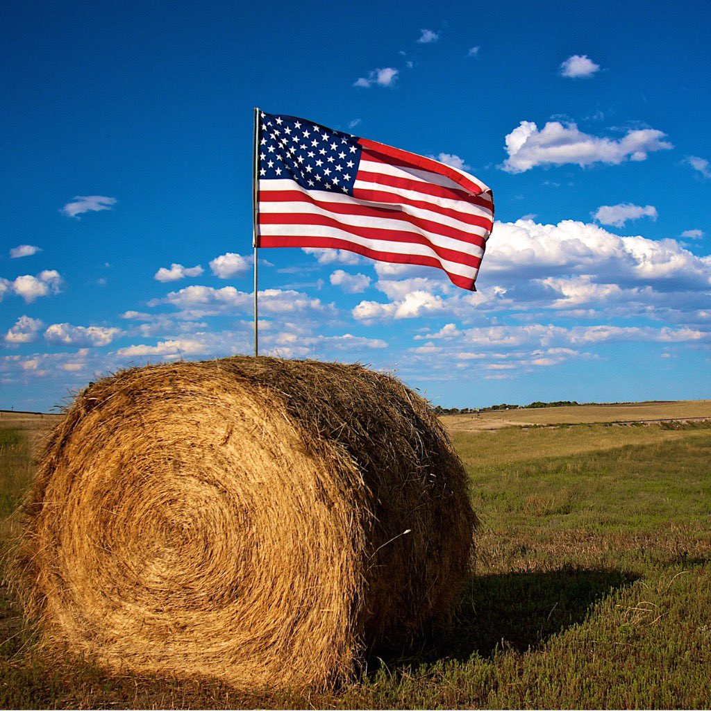 The Global Small Business Blog: Agricultural Trade Is All About Opportunities:  globalsmallbusinessblog.com/2023/06/agricu…
#globalsmallbusinessblog #globalsmallbusiness #farmexports #agriculturaltrade #USAfarmexports