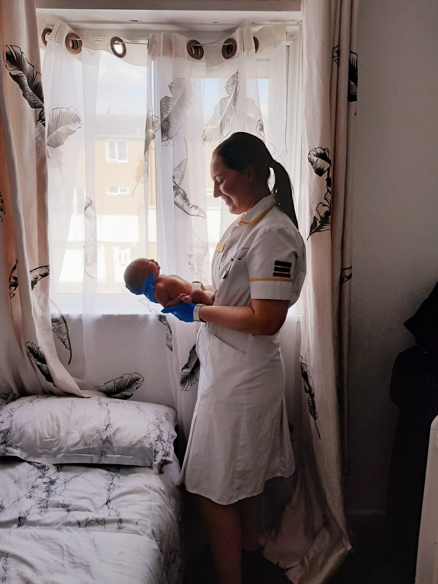 Danielle Carey tweet media