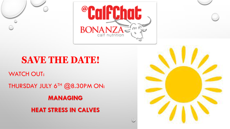 BonanzaCalf's tweet photo. Save the date – Thursday 6 July 8.30pm on @CalfChat’s social feeds – how does hot weather and high humidity negatively affect calf health and well-being. No need to register, and we will see you there! @britishdairying https://t.co/DP50GYrulD