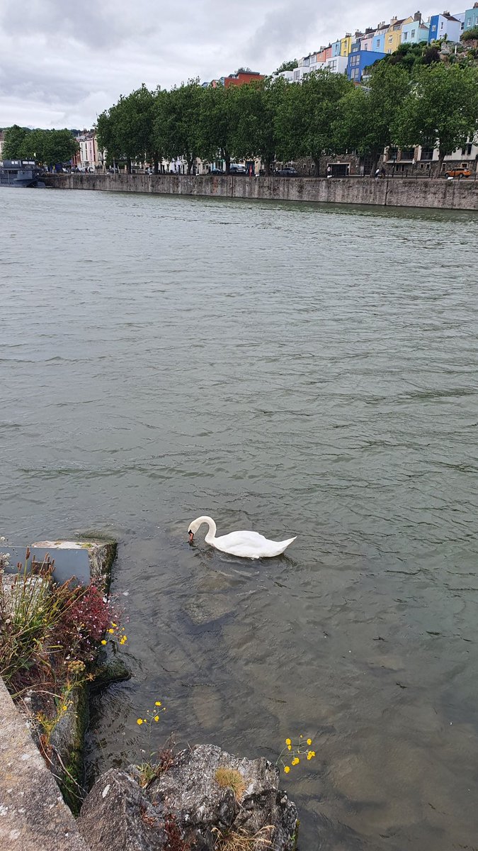 Beth Thomas tweet media