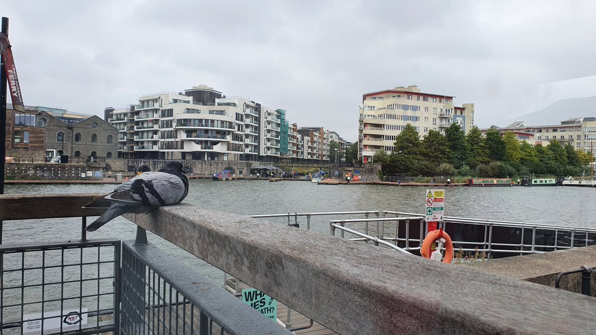 Beth Thomas tweet media