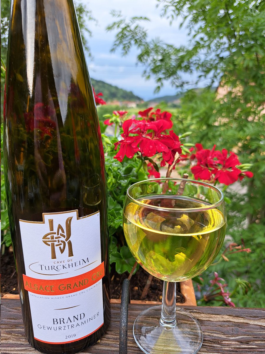 Alsace Wine Lovers of Ireland (@alsacewinelover) on Twitter photo Amazing colour on this #Alsace #GrandCruBrand #Gewurztraminer from <a href="/cave_turckheim/">CAVE DE TURCKHEIM</a> !
<a href="/winewankers/">The Wine Wankers 🍾🤛🎉🥂</a> <a href="/pietrosd/">🍾🍷PIETROVINI🍷🍾</a> <a href="/Sinead_Smyth_/">Sinéad Germaine-Smyth</a> <a href="/jimofayr/">jim dunlop</a> <a href="/JeremyPalmer7/">morgenmuffel</a> <a href="/timmilford/">Tim Milford</a> <a href="/FoulquesA/">Foulques AULAGNON</a> <a href="/JamesHubbard113/">James Hubbard</a> <a href="/SolicitingFlava/">SolicitingFlavours</a> <a href="/TweetaDean/">Peter Dean</a> <a href="/Liam3494/">Liam Mycroft</a> <a href="/ArdenPaul4/">Paul Courtney</a> <a href="/damewine/">Cathrine Todd</a> <a href="/Fiery01Red/">Michelle Williams</a> <a href="/nineov/">Katherine Rosewell</a> <a href="/groutie60/">Tony O'Brien</a> Amazing colour on this #Alsace #GrandCruBrand #Gewurztraminer from <a href="/cave_turckheim/">CAVE DE TURCKHEIM</a> !
<a href="/winewankers/">The Wine Wankers 🍾🤛🎉🥂</a> <a href="/pietrosd/">🍾🍷PIETROVINI🍷🍾</a> <a href="/Sinead_Smyth_/">Sinéad Germaine-Smyth</a> <a href="/jimofayr/">jim dunlop</a> <a href="/JeremyPalmer7/">morgenmuffel</a> <a href="/timmilford/">Tim Milford</a> <a href="/FoulquesA/">Foulques AULAGNON</a> <a href="/JamesHubbard113/">James Hubbard</a> <a href="/SolicitingFlava/">SolicitingFlavours</a> <a href="/TweetaDean/">Peter Dean</a> <a href="/Liam3494/">Liam Mycroft</a> <a href="/ArdenPaul4/">Paul Courtney</a> <a href="/damewine/">Cathrine Todd</a> <a href="/Fiery01Red/">Michelle Williams</a> <a href="/nineov/">Katherine Rosewell</a> <a href="/groutie60/">Tony O'Brien</a>