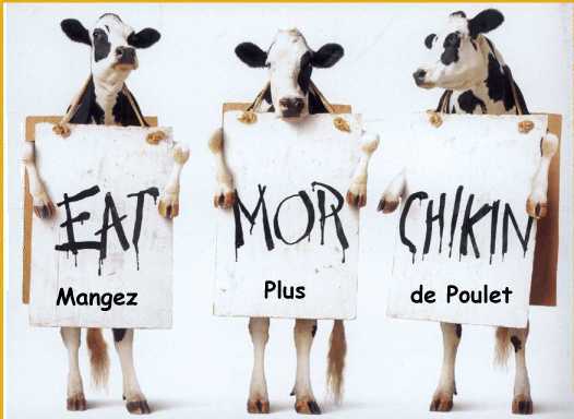 droledaffiche's tweet photo. Mangez plus de poulet ! https://t.co/F20jKFA1F6