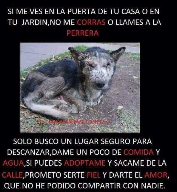 avisocitas's tweet photo. Cambia una vida https://t.co/w0BcnZNwW4