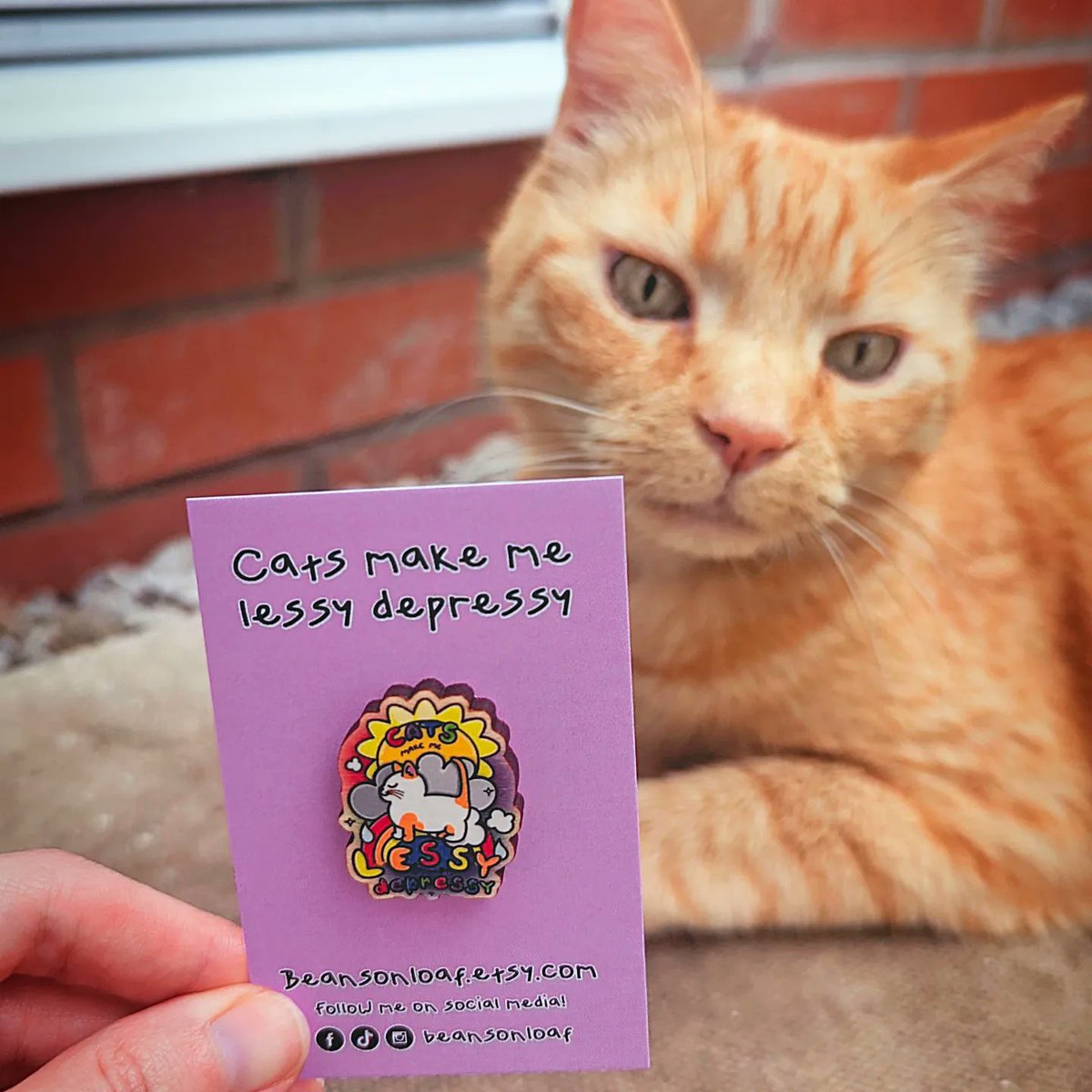 BeansonLoaf's tweet photo. SHOP UPDATE! 😻💖 Check meowt the NEW cat lover gifts in our Etsy store ✨ Link below to get your paws on them!

We now have clothing, stickers, badges, keyrings, cards and more!! Slowly building this biz up 😀💪

https://t.co/TquYiWcgha https://t.co/XHl5QwwEUr