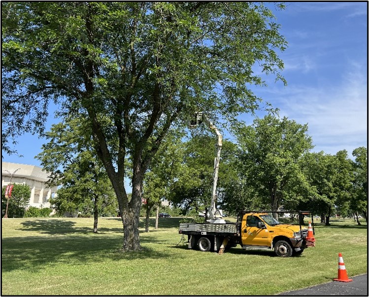 cityofames's tweet photo. Find out what’s been happening! The City Manager’s Office compiles a monthly report highlighting projects and activities of each City department. These reports are posted on the City’s website at https://t.co/D7MpCZLYBK.
#AmesProjects #CityActivities #SmartChoice https://t.co/cGpZWe8HGd