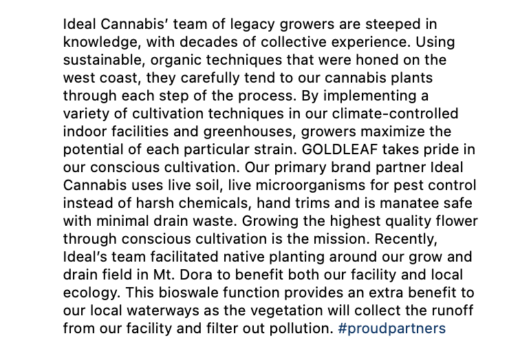 GOLDLEAF tweet media