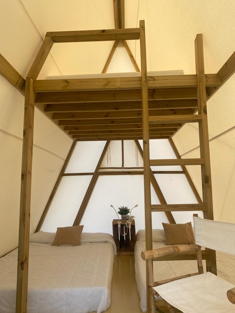 CMM_es's tweet photo. 🏕️ Hoy en #ElCuentakilómetros ponemos rumbo a Lincetur, en los Montes de Toledo, para conocer un camping que cuenta con cabañas propias y unas tiendas completas para una estancia sin preocupaciones.

¡Haz tu reserva YA!
⏰ A las 13:30 h.
📺 En #CMM con Mariló Leal y @lucia_esc https://t.co/2H4egIdzb9